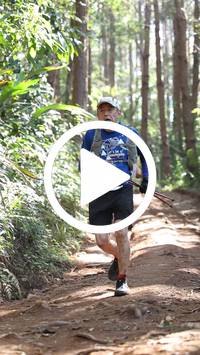 BIB:  <button type="button" onclick="openModal(26569541)" class="btn btn-primary btn-sm float-right" data-toggle="modal" data-target=".modal-high-quality">
                <i class="fa fa-download"></i> Download
                </button>